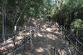 호두산 대나무 숲길 썸네일 이미지