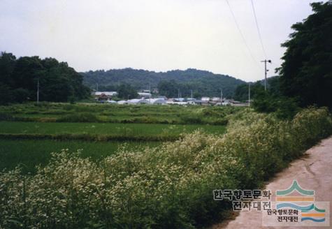 대표시청각 이미지