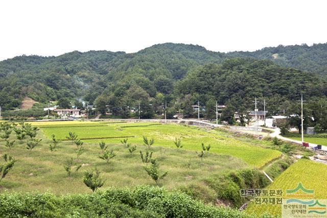 대표시청각 이미지