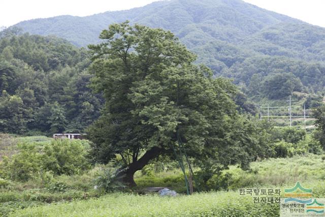 대표시청각 이미지