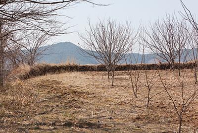 원동산성 정상 전경 썸네일 이미지