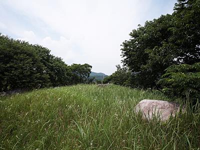 우복리 고인돌군 전경 썸네일 이미지