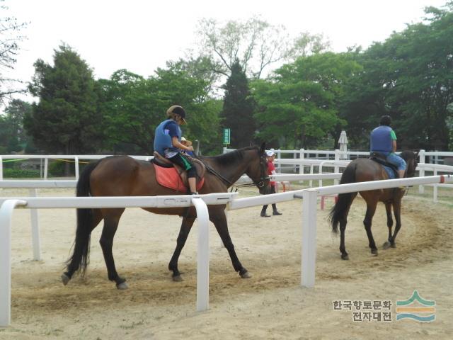 대표시청각 이미지